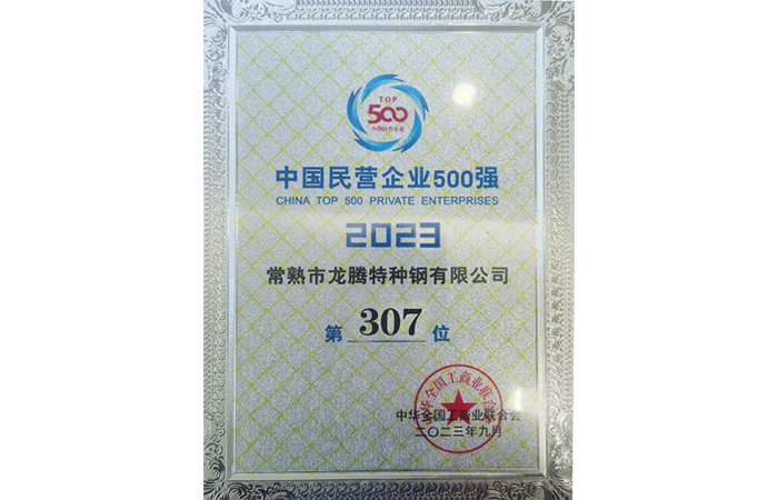 2023年中國民營企業(yè)500強307位.png